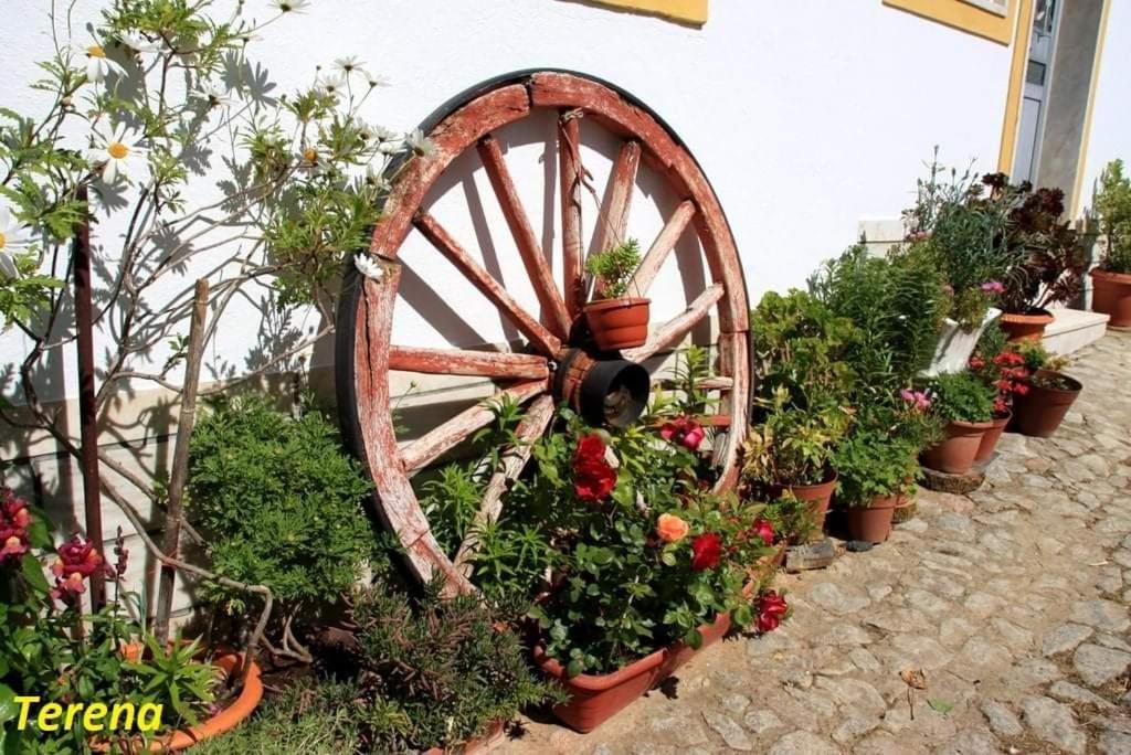 A Casa Do Mestre Lau - No Coracao Do Alentejo Terena Eksteriør bilde
