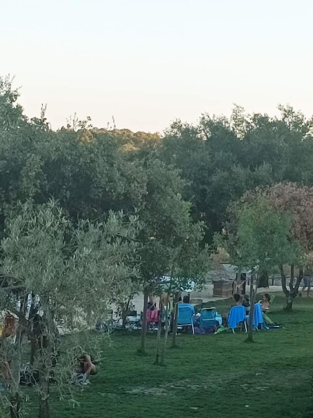 A Casa Do Mestre Lau - No Coracao Do Alentejo Terena Eksteriør bilde
